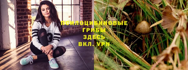 стаф Алексин