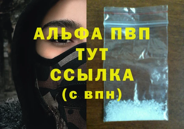 винт Абаза