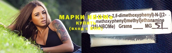 стаф Алексин