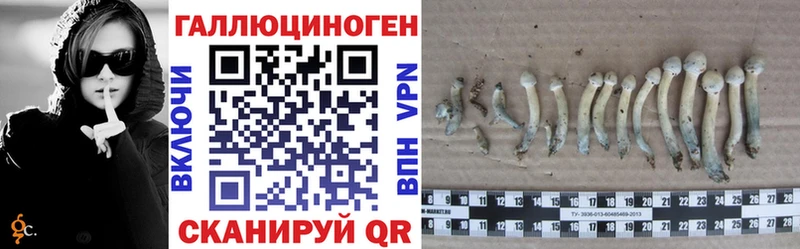 Галлюциногенные грибы прущие грибы  гидра зеркало  Киреевск 
